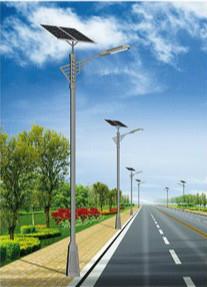 1742827545426759.jpg 巴楚太阳能路灯.jpg